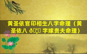 黄圣依官印相生八字命理（黄圣依八 🦟 字嫁贵夫命理）